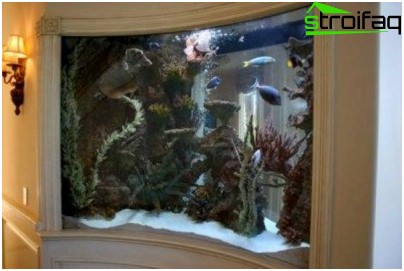 ニッチ水族館 乾式壁ニッチの水族館