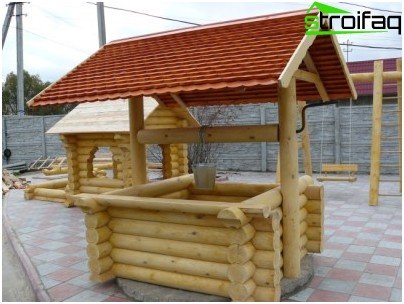 真菌ウェルの最も単純なタイプ-付随するログハウストリムなし ログから