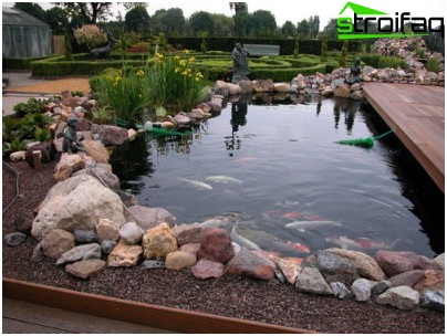 手入れの行き届いた池-サイトの所有者の誇りですよね?! 敷地内の池