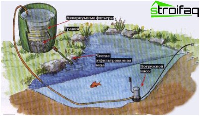 これは、その場しのぎの池の水処理システムの仕組みです 自家製池水処理システム