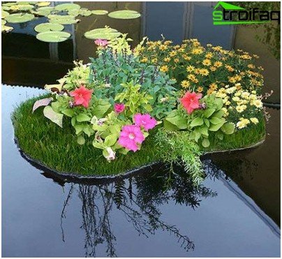 カントリーガーデンポンド